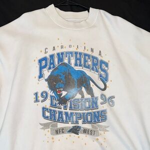 Abercrombie Carolina Panthers NFC West Champions Sweatshirt
